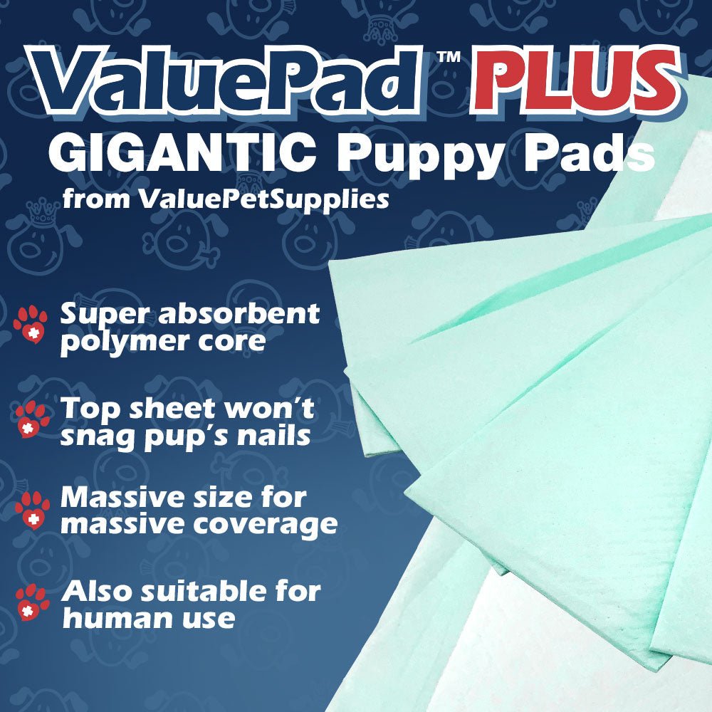 ValuePad Plus Puppy Pads, XXL Gigantic 28x44 Inch, 100 Count - Premium Pee Pads for Dogs, Tear Resistant, Super Absorbent Polymer Gel Core, 5-Layer Design 